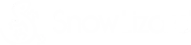 Snow Lizard Products