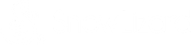 Snow Lizard Products
